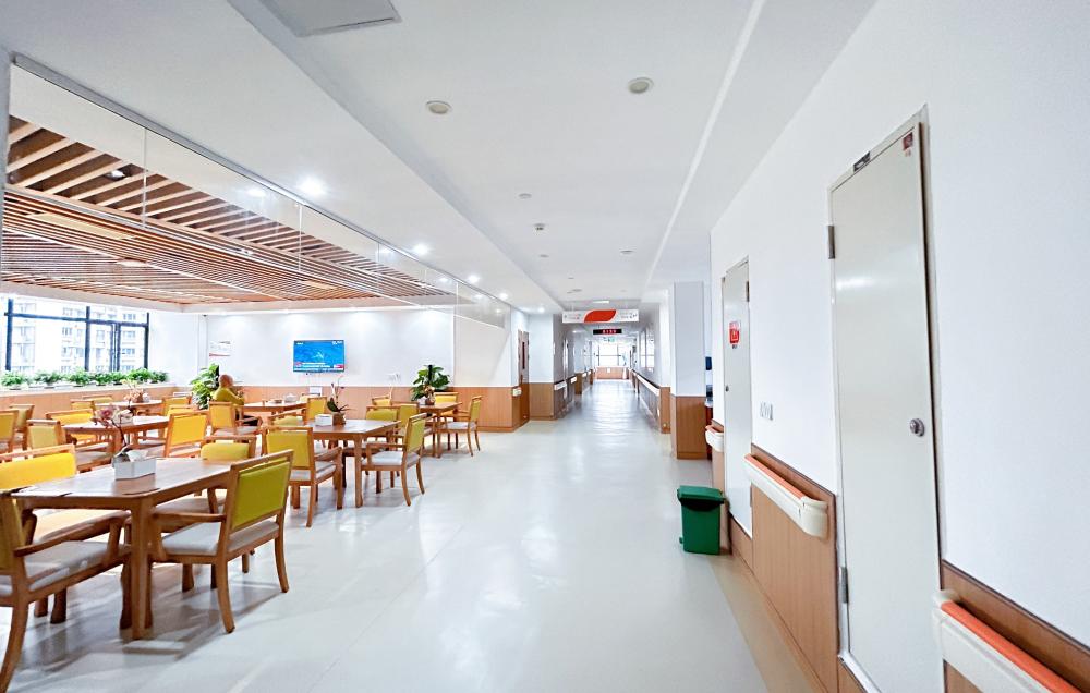 活動區／客廳／飯廳