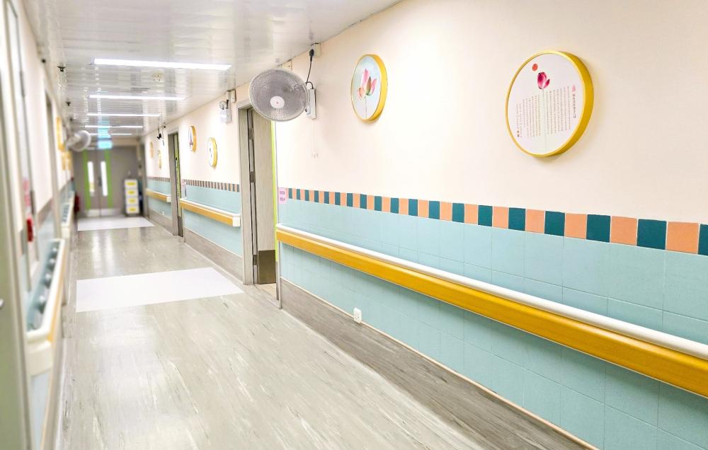 活动区／客厅／饭厅