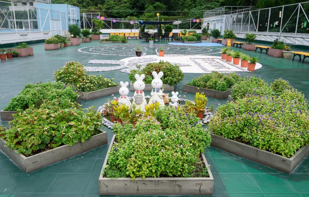 花园