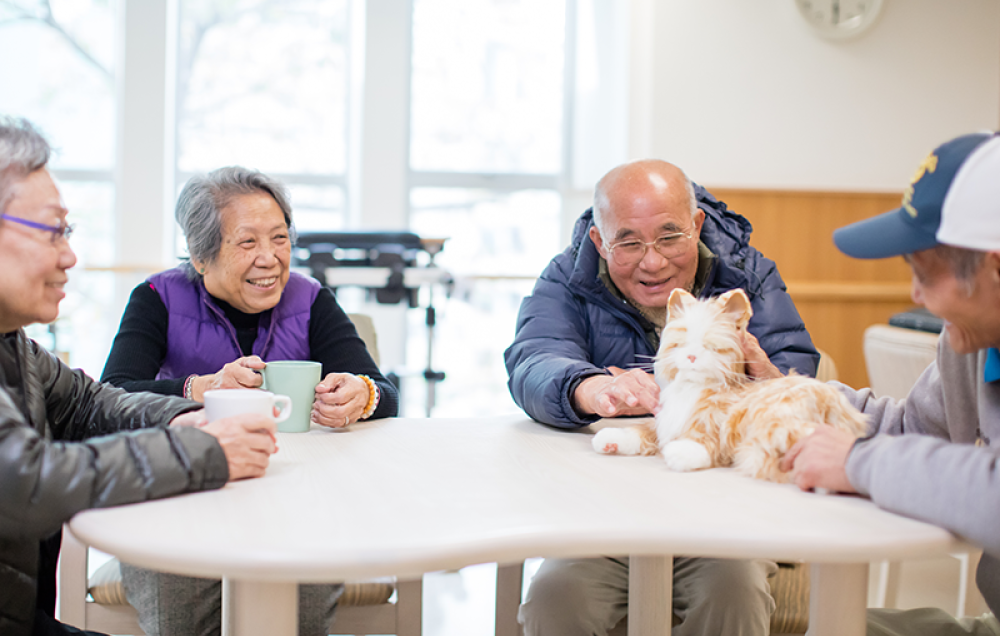 Social / Recreational Activities