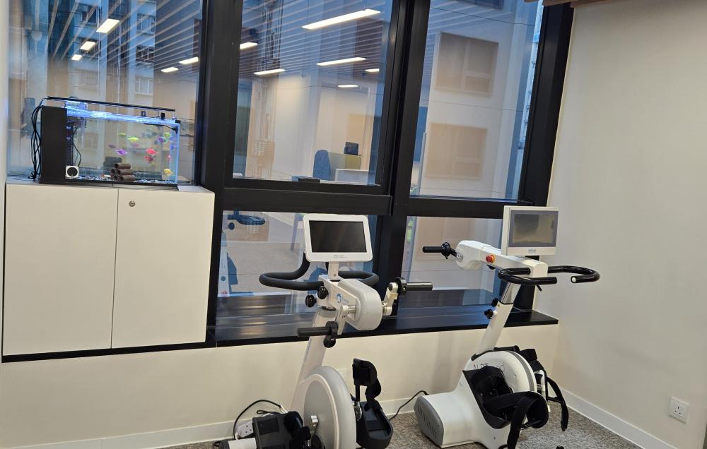 Rehabilitation Exercise