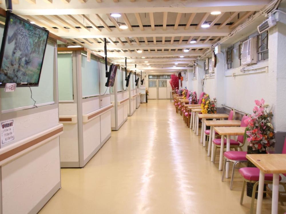 活動區／客廳／飯廳